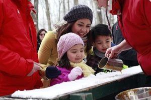 Making snow taffy at the maple syrup festival